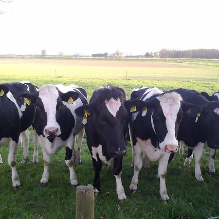 B&B Boerderij Wijtvliet Langeweg Luaran gambar