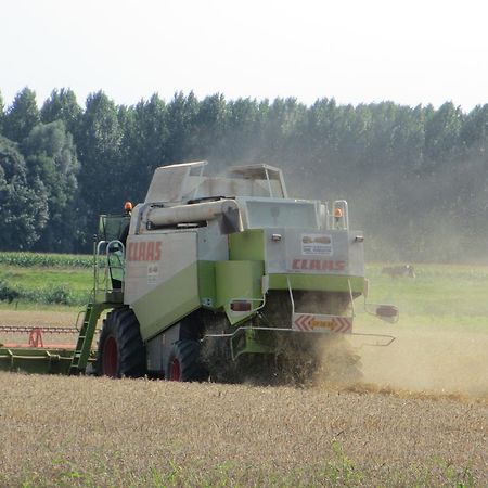 B&B Boerderij Wijtvliet Langeweg Luaran gambar