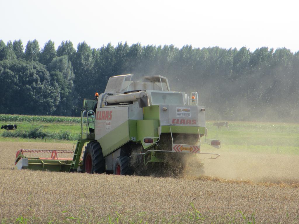 B&B Boerderij Wijtvliet Langeweg Luaran gambar